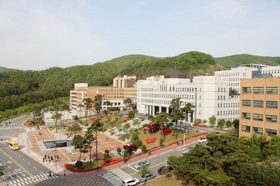 vi sao nen du hoc dai hoc dankook