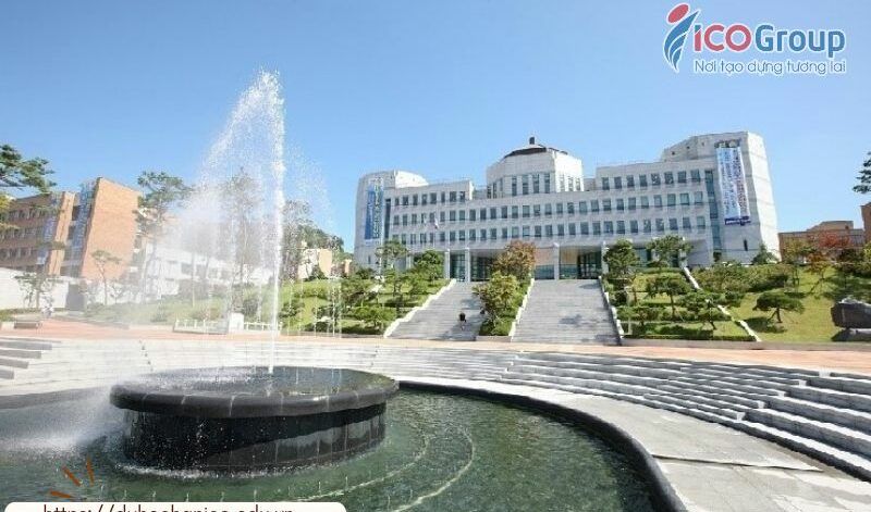 truong dai hoc dankook