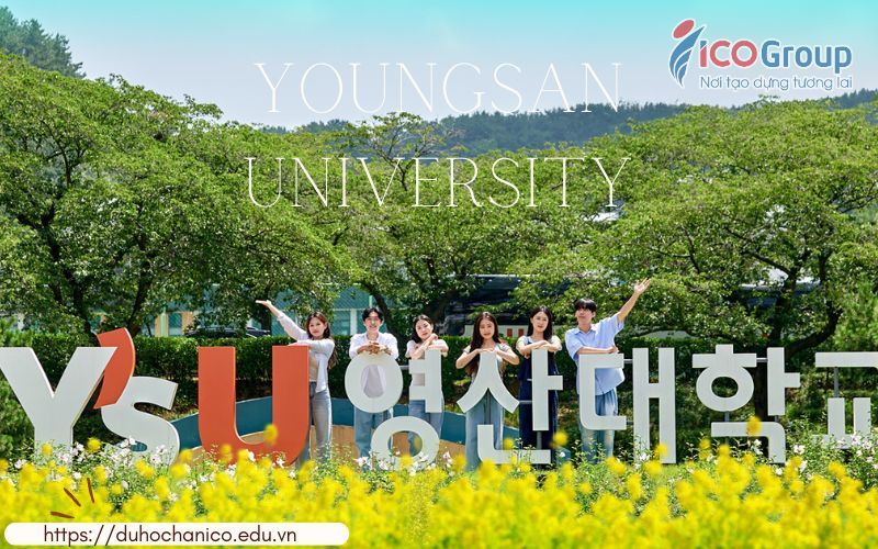 dai hoc youngsan