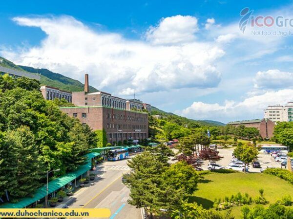 khuon vien dai hoc daejin