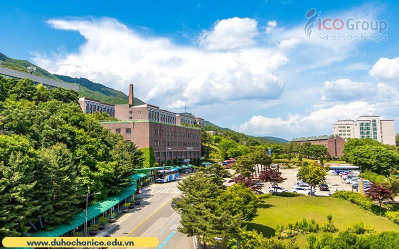 khuon vien dai hoc daejin