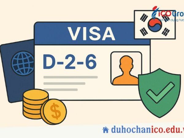 visa d2-6 la gi